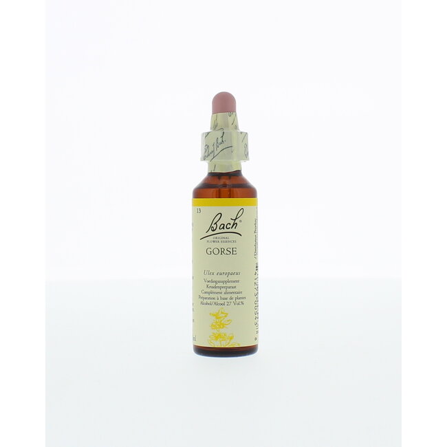 Gorse/gaspeldoorn 20 Milliliter