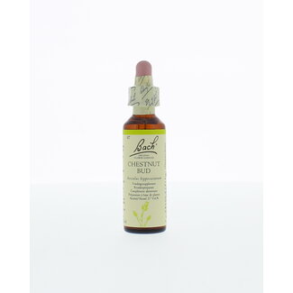 Bach Chestnut bud/kastanjeknop 20 Milliliter