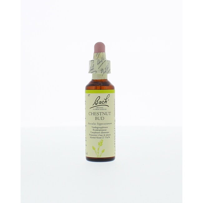 Chestnut bud/kastanjeknop 20 Milliliter