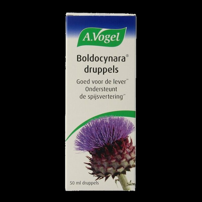 Boldocynara druppels 50 Milliliter