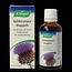 Boldocynara druppels 50 Milliliter