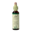 Agrimony/agrimonie 20 Milliliter