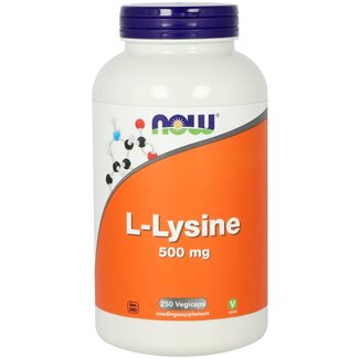 VitOrtho L-Lysine 500mg 250 Vegetarische capsules