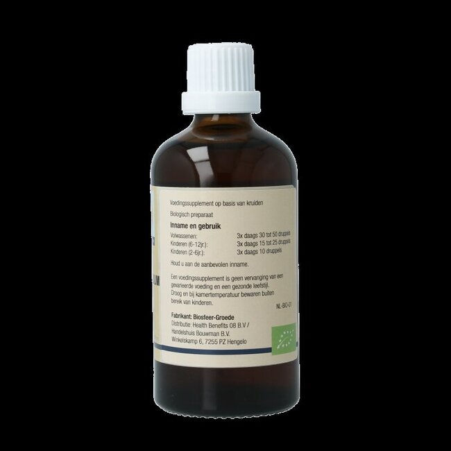 Ilex aquifolium bio 100 millilitres