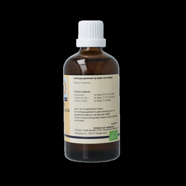 Quercus pedunculata 100 ml