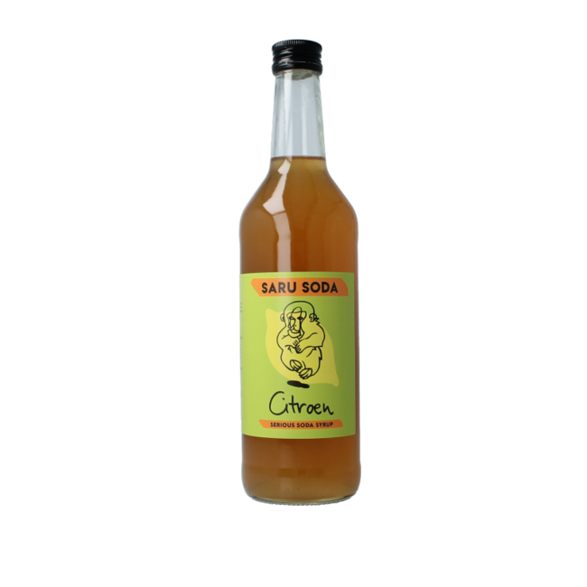 Siroop citroen bio demeter 500 Milliliter