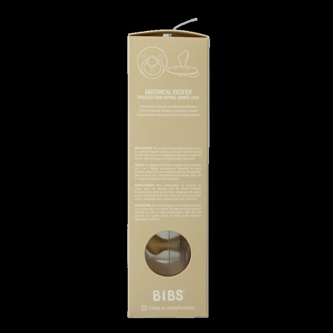 Sucette anatomique taille 2 blush/woodstock lot de 2