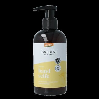 Baldini Handzeep citrus 250 Milliliter