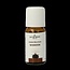 Huile d'encens 10 ml