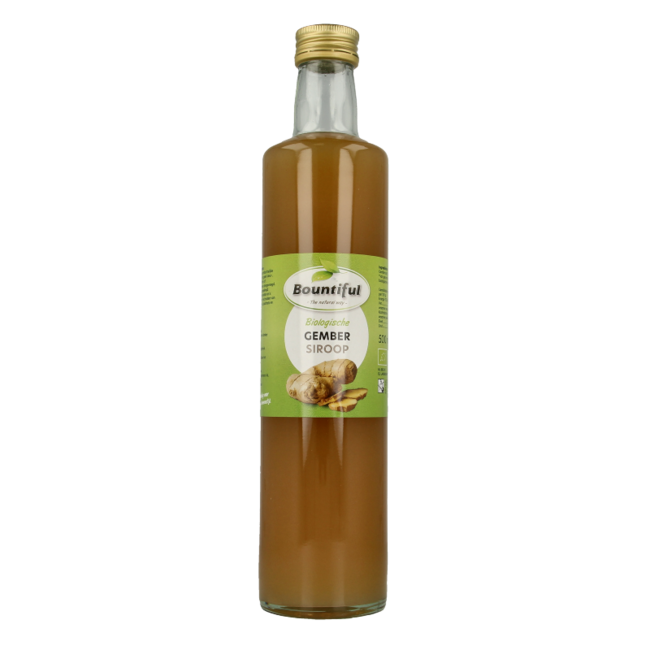 Gembersiroop bio 500 Milliliter
