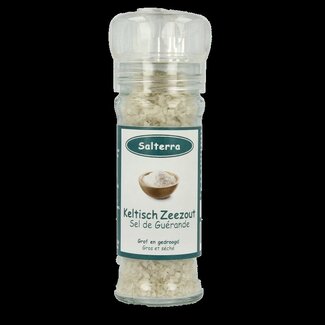 Salterra Sel marin celtique gros séché moulin 70 g