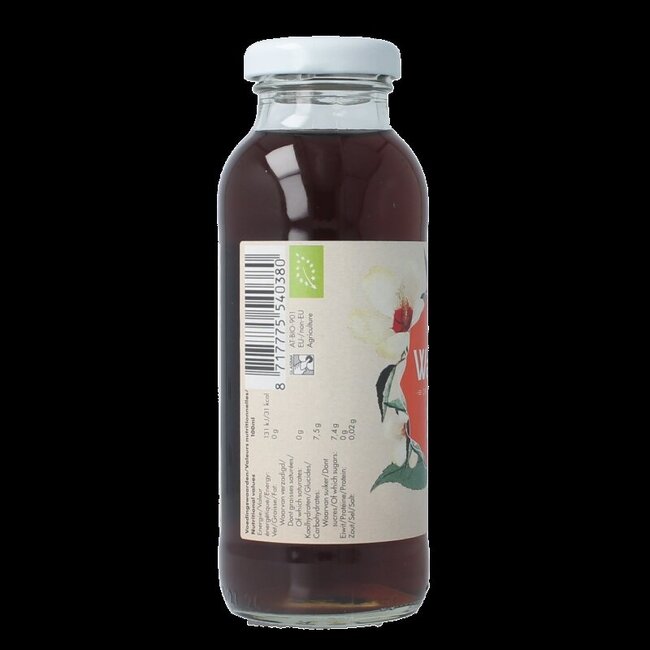 Ice tea peach jasmine bio 250 Milliliter