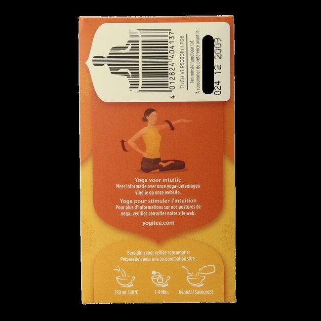 Thé chaï au curcuma bio 17 sachets