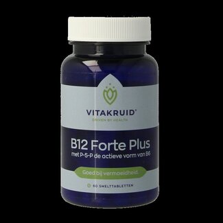 Vitakruid B12 Forte Plus 3.000 avec P-5-P 60 Comprimés à fondre