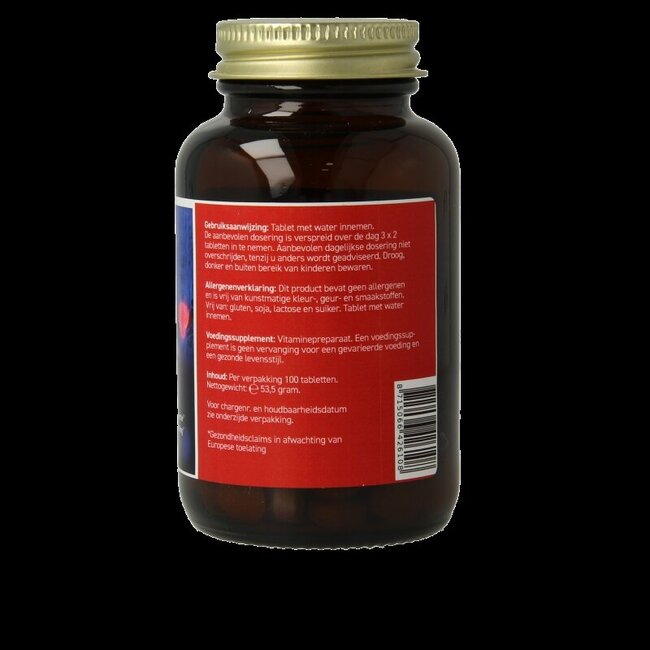 Solidago complex 100 Tabletten