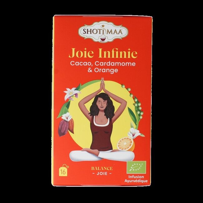 Love for life cocoa, cardamom & orange bio 16 Zakjes