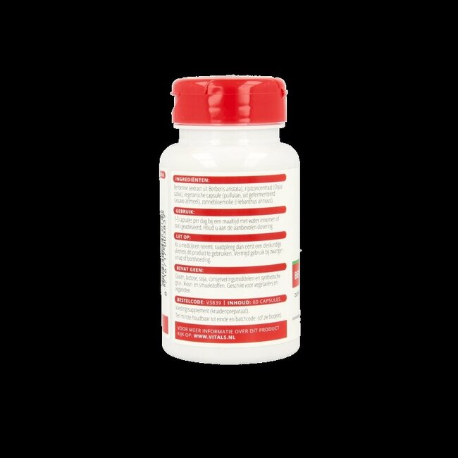 Berbérine 500 mg 60 gélules