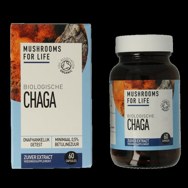 Chaga bio 60 gélules