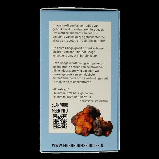 Chaga bio 60 gélules