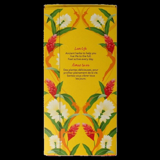 Thé Curcuma Active Bio 20 sachets