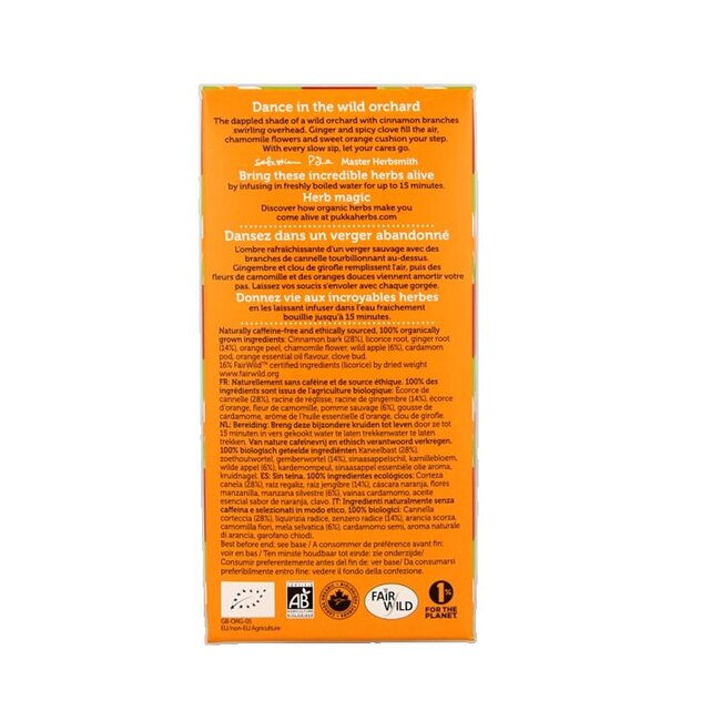 Thé bio Pomme sauvage et cannelle 20 sachets