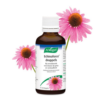 A Vogel Echinaforce druppels 50 Milliliter