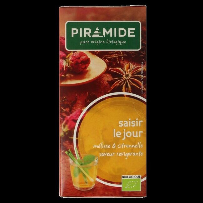 Infusion Pluk de dag éco bio 20 sachets