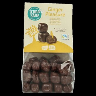 TerraSana Gingembre enrobé de chocolat noir bio 150 g