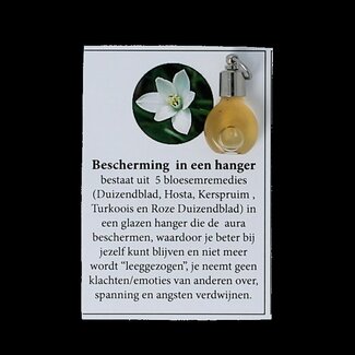 Star Remedies Hanger met bescherming 1 Stuks