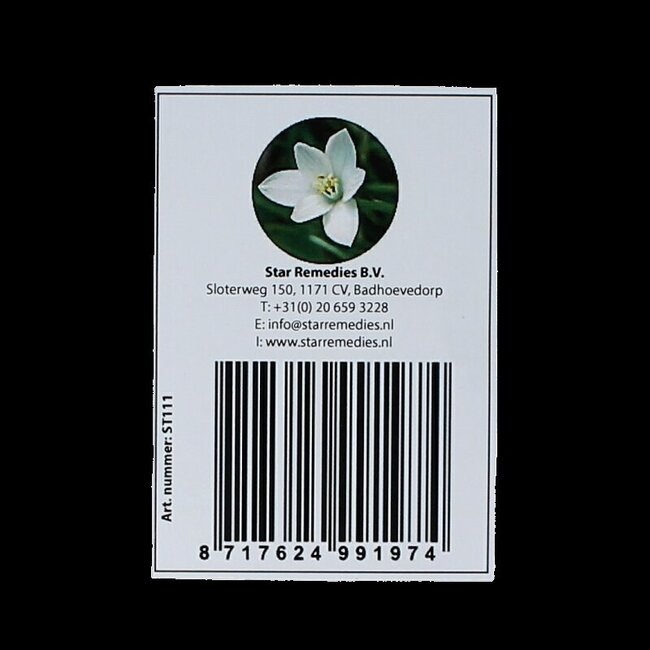 Pendentif de protection 1 pièce