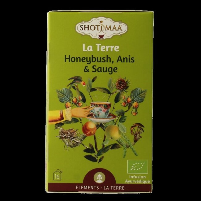 Earth touch the ground bio 16 sachets