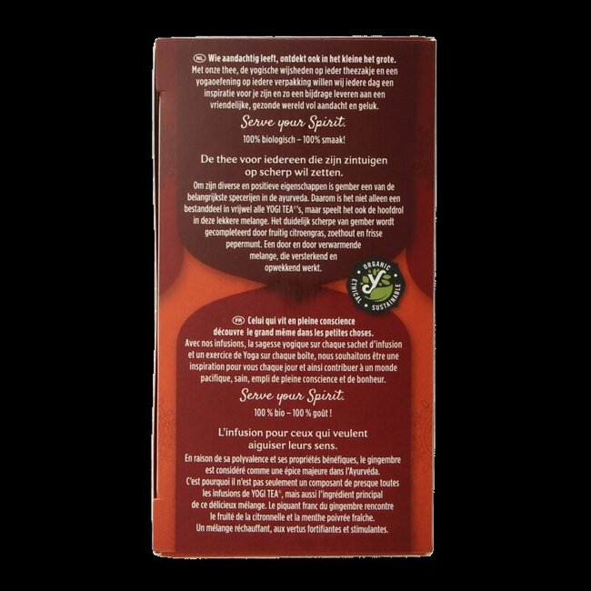 Ginger bio 17 Zakjes