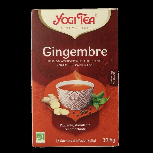 Ginger bio 17 Zakjes
