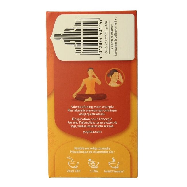 Ginger orange vanilla bio 17 Zakjes