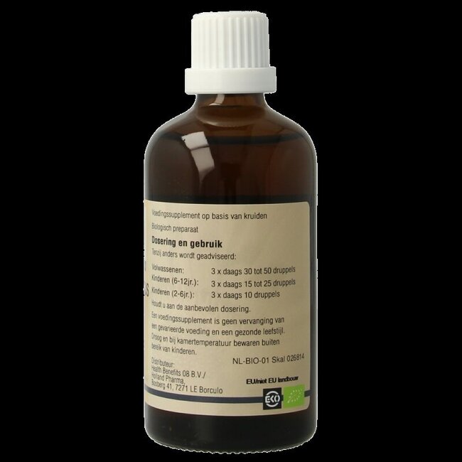 Sambucus nigra bio 100 Milliliter