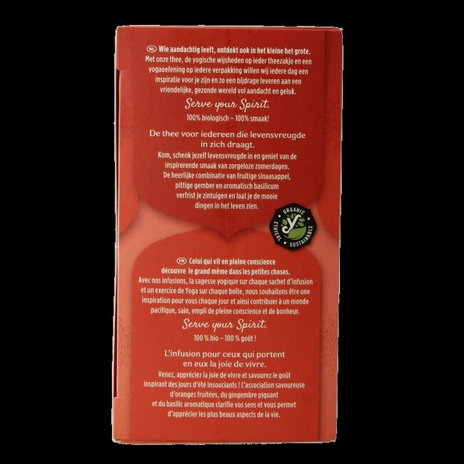 Réconfort bio 17 sachets