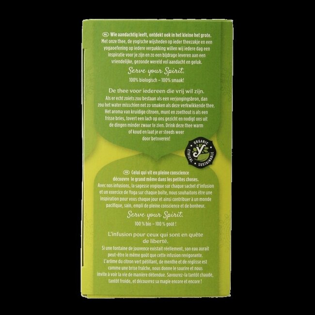 Citron vert menthe bio 17 sachets