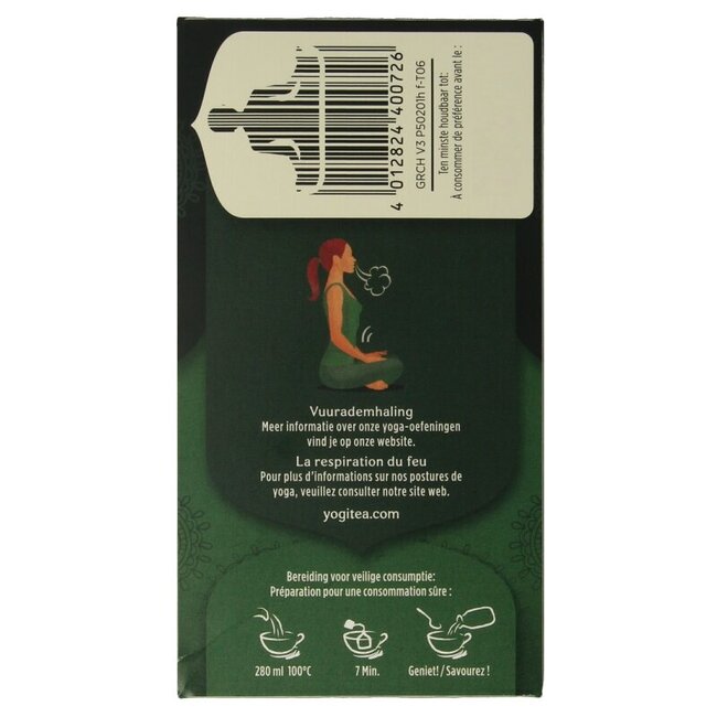 Chai vert bio 17 Sachets