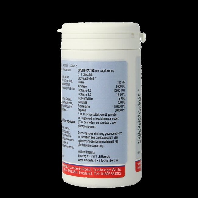 Digestizyme enzymes digestives 100 capsules végétariennes