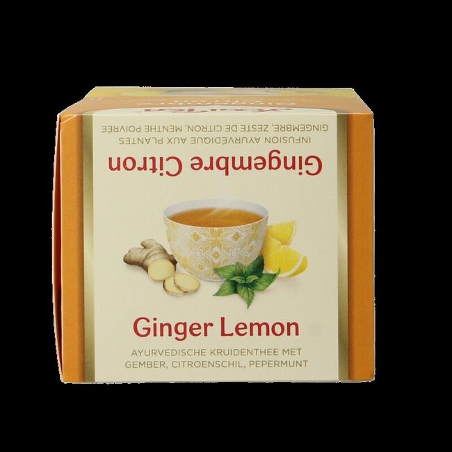 Gingembre citron menthe bio 17 sachets