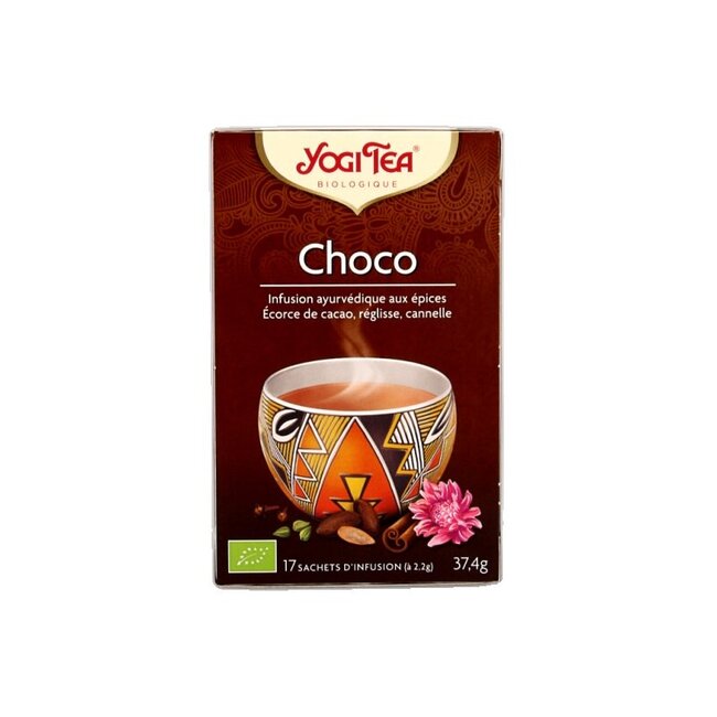 Choco bio 17 sachets