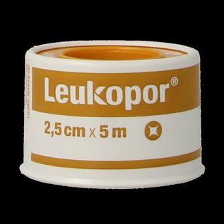 Leukopor Hechtpleister 5m x 2.50cm 1 Stuks