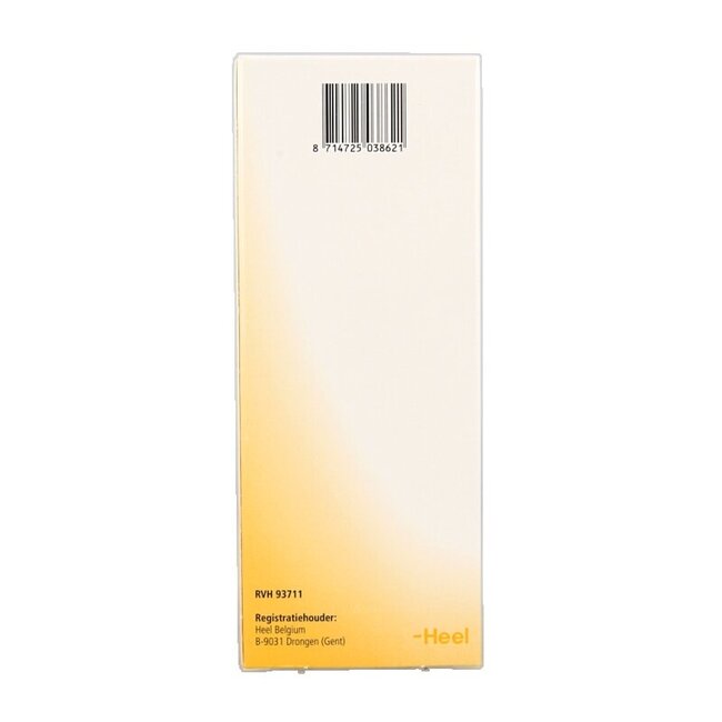 Nectadyn H stroop 250 Milliliter