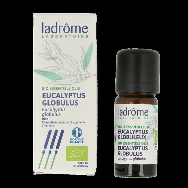 Huile essentielle d'Eucalyptus globulus bio 10 ml
