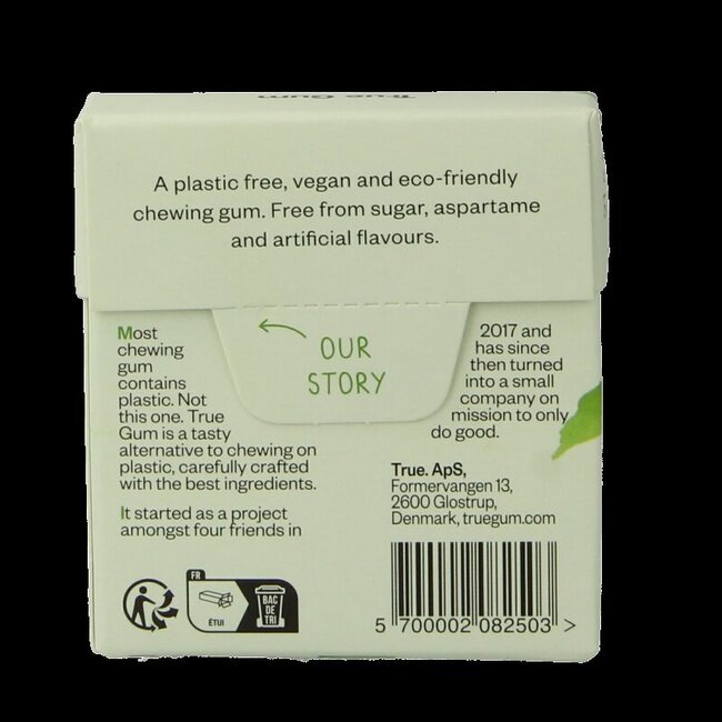 Mint suikervrij 21 Gram