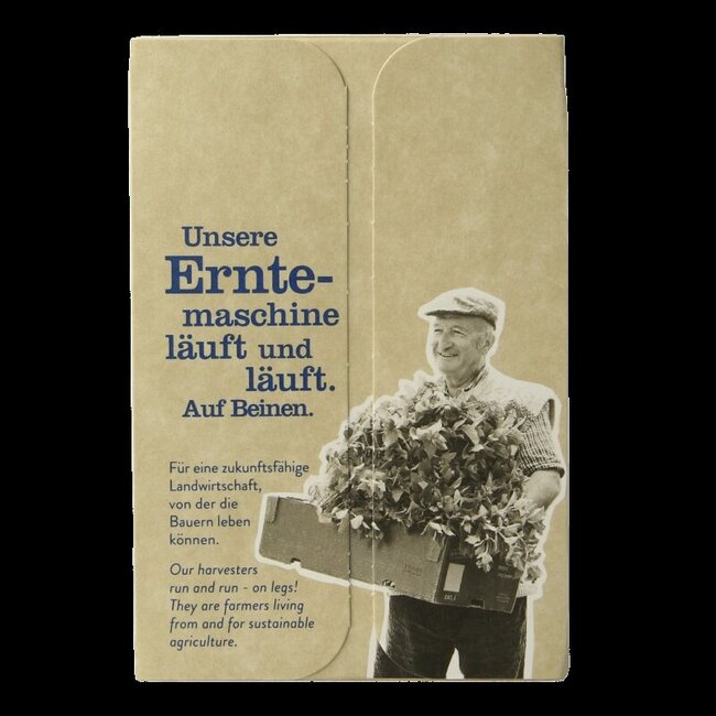 Thé noir Assam English bio 18 sachets