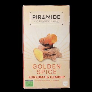 Piramide Golden spice bio 20 Zakjes