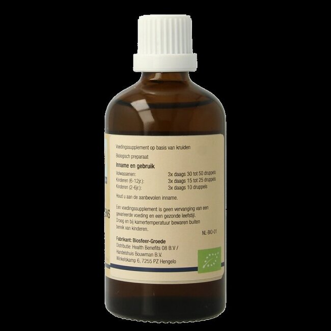 Betula pubescens bio 100 ml