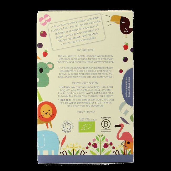 Kids Tea Time Adventure Bio 20 Sachets
