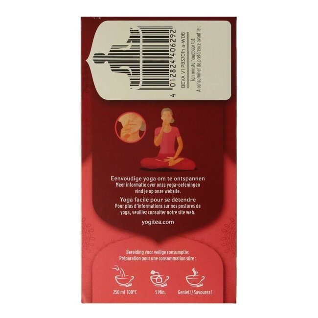 Berry Vanilla Bio 17 Sachets